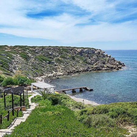 Joya Cyprus Secret Platinum *
